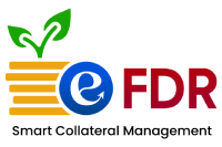 efdr transparent efdr transparent